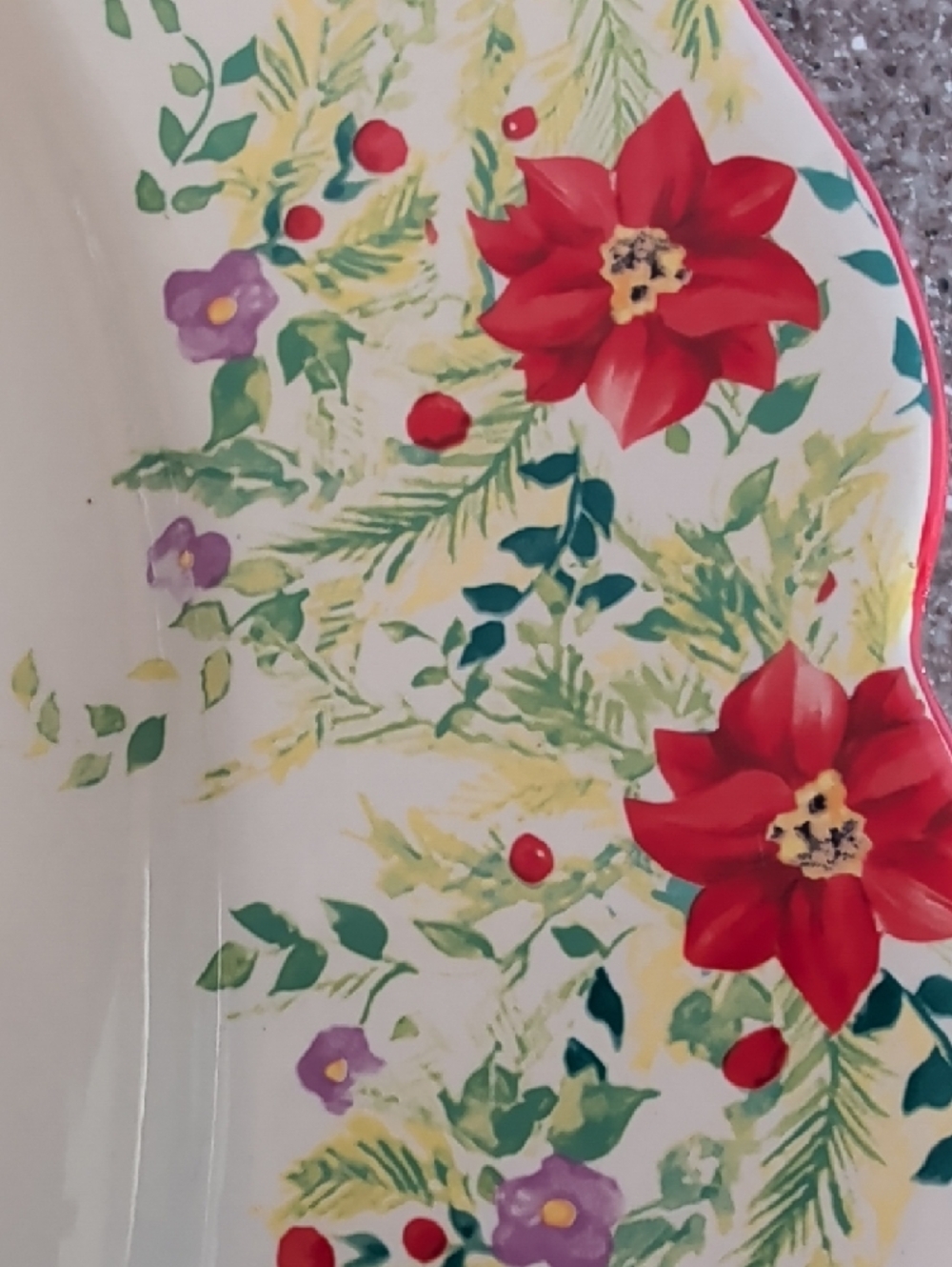 Pioneer Woman Holiday Turkey, Ham Or Veggie Oval Serving Platter.๐๐๐ - Picture 3 of 14